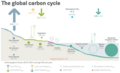 CarbonCycle.png (PNG)