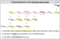 ThoriumFuelCycle.png (PNG)