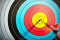 arrow-in-archery-target.jpg (JPEG)