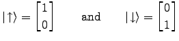 $\displaystyle \vert \! \uparrow \rangle = \left[ 1 \atop 0 \right] \qquad \hbox{\rm and} \qquad \vert \! \downarrow \rangle = \left[ 0 \atop 1 \right]$