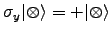 $ \sigma_y \vert \otimes \rangle =
+\vert \otimes \rangle$