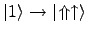 $ \vert 1\rangle \to \vert\!\Uparrow\uparrow\rangle$