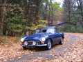 MG01.jpg (JPEG)